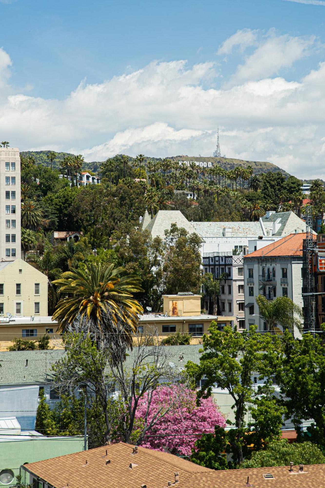 Appartamento Luxury With The Hollywood Hills View *